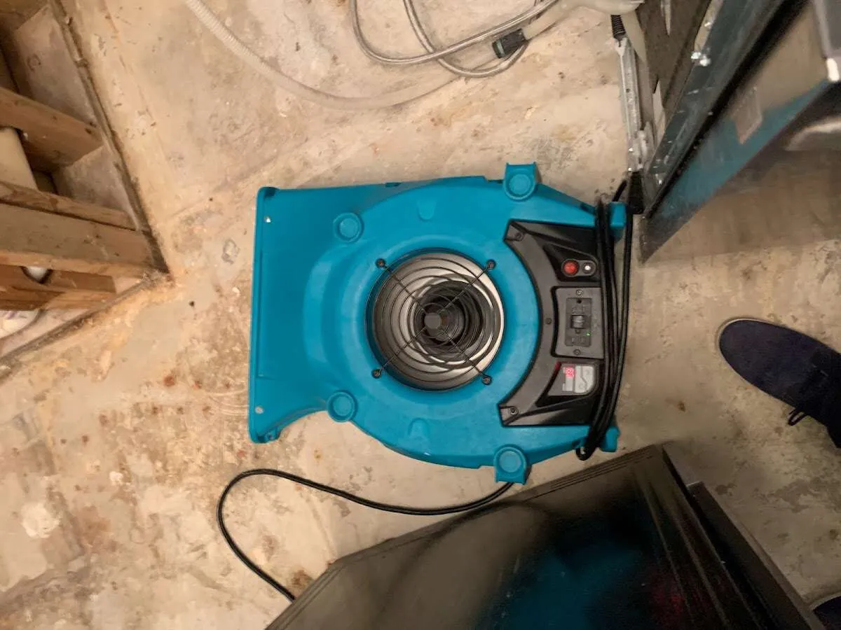 Air mover drying equipment for Mold Remediation & Removal in Richmond West